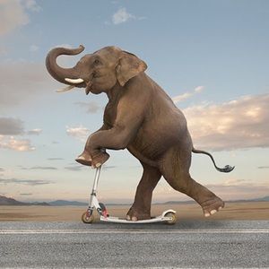 Meet your Posher, Ginny